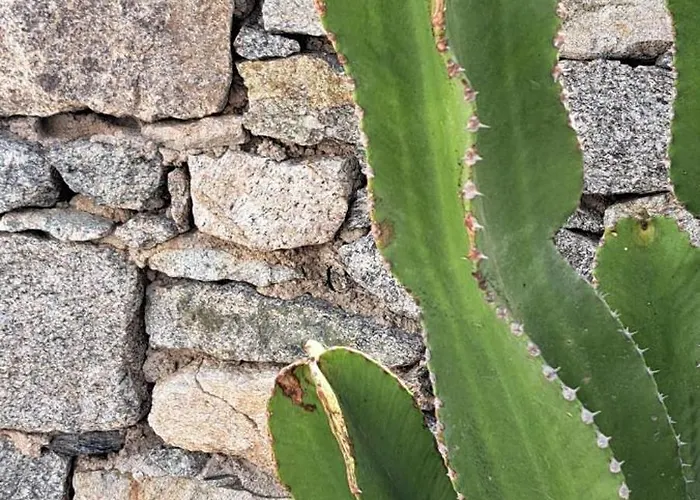 安妮克希酒店 酒店 奥诺斯