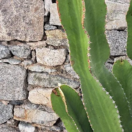 Anixi Отель Орнос